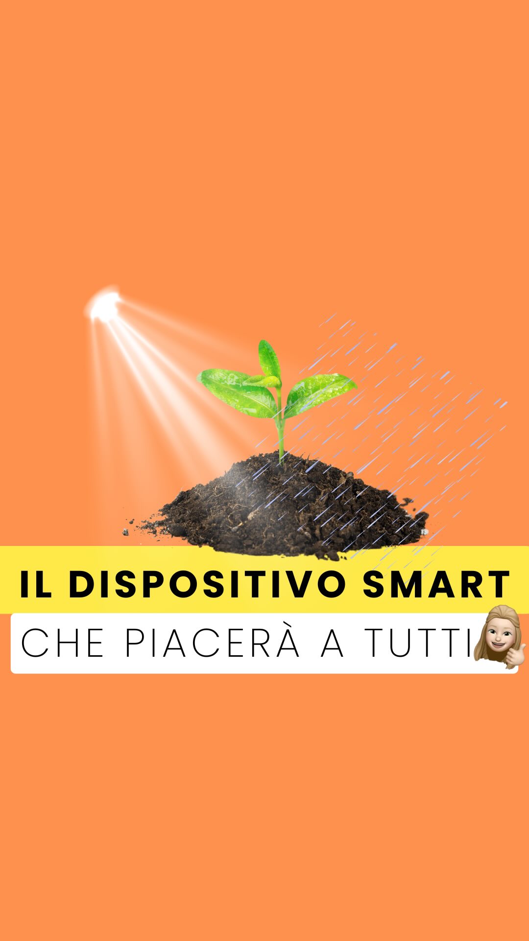 Non serve un giardino per coltivare basilico fresco ogni giorno