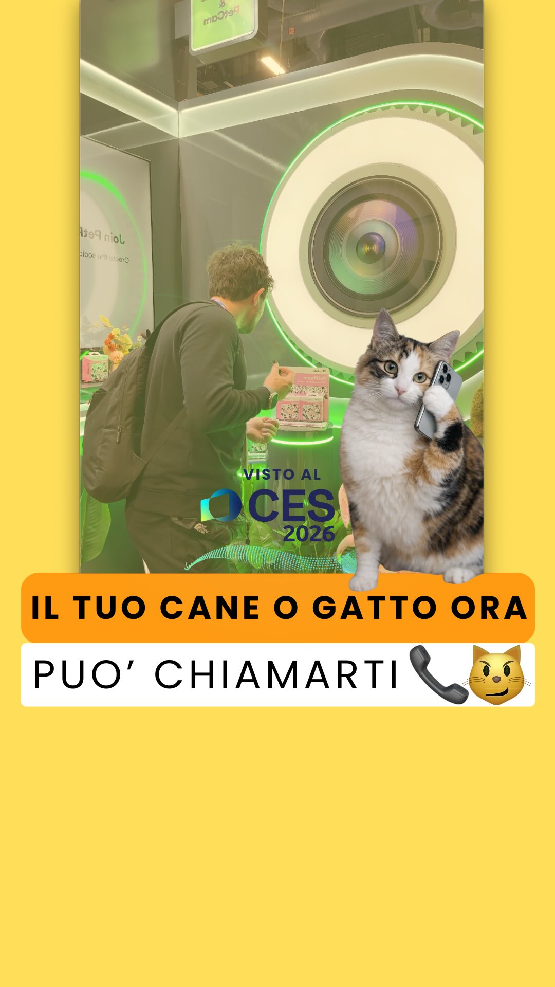 Non è un iPhone — ma è il primo PetPhone al mondo 🐾