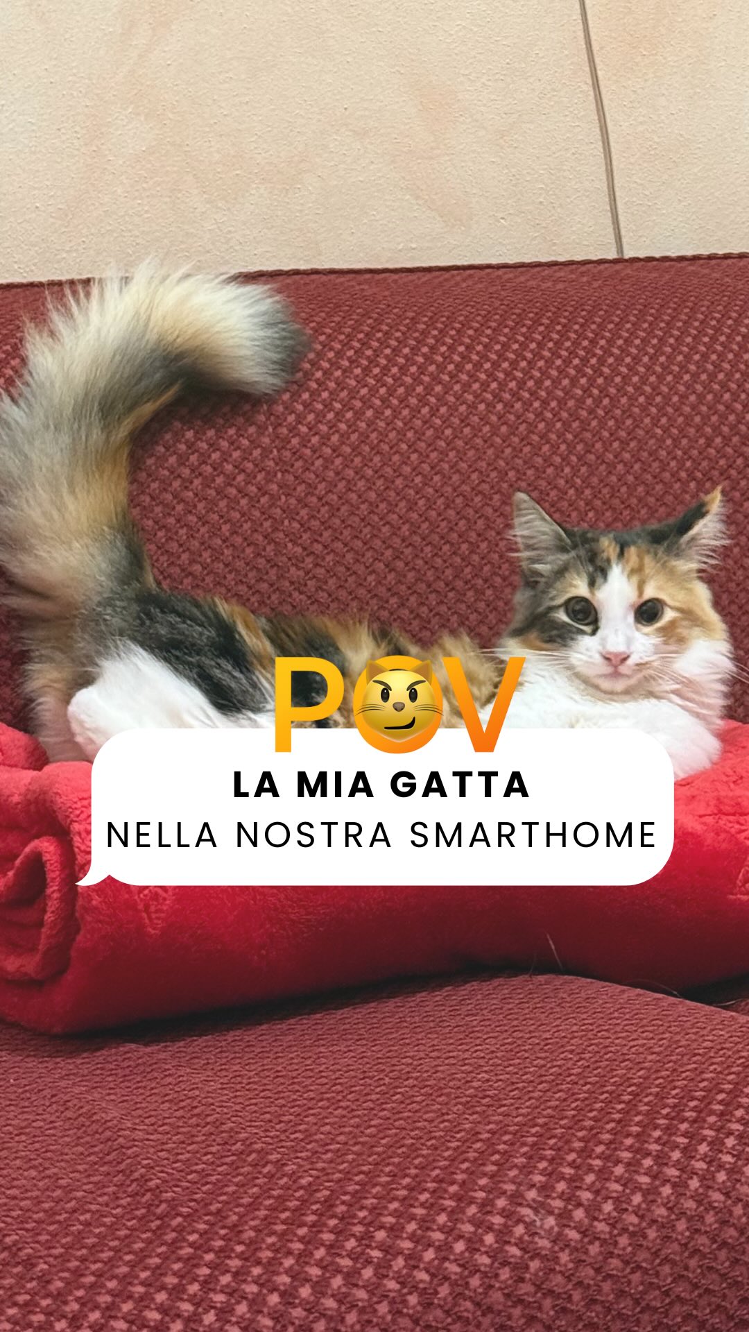 Ogni volta che aggiorniamo la nostra smart home, lei trova un nuovo modo per usarla… a modo suo. 💁‍♀️🐱