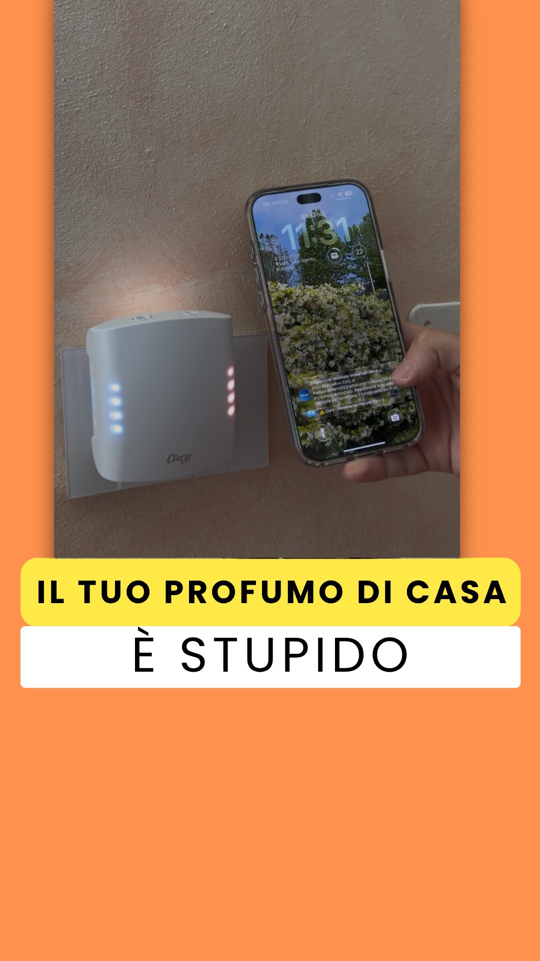Il profumo di casa mia ora sa quando torno, cambia tra mattina e sera e mi avvisa se il gatto ci mette le…