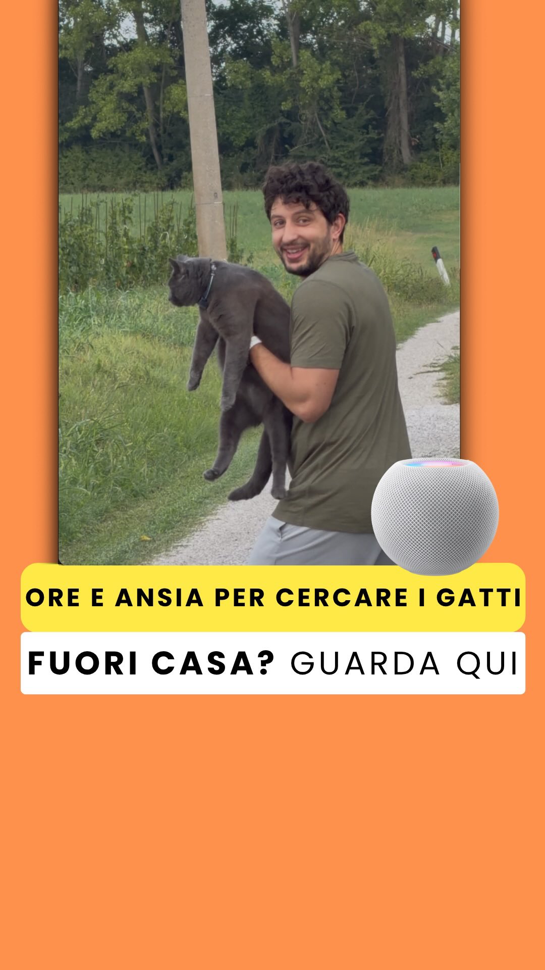 Passavamo ore a cercare i nostri gatti per farli rientrare quando uscivano 😩 Ed eravamo sempre in ansia…