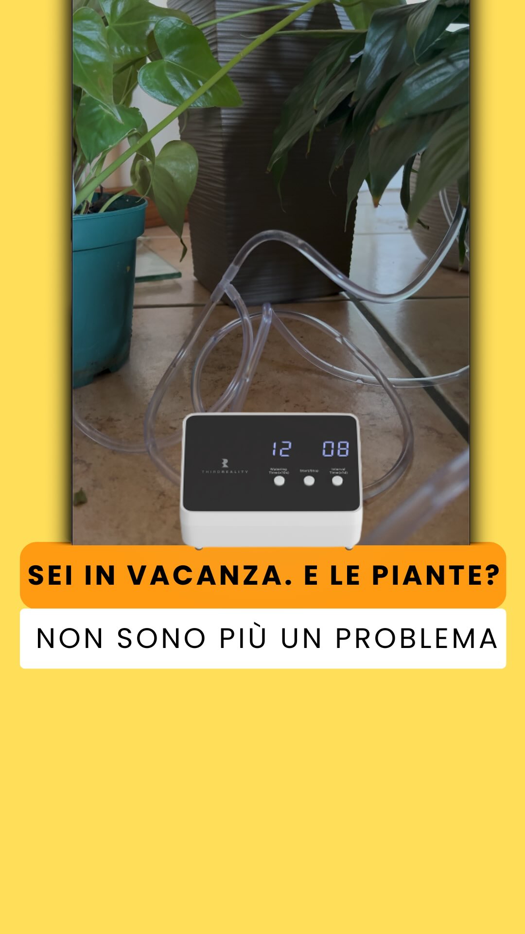 Partiamo per le vacanze e le piante sopravvivono. Non perché passa qualcuno ad annaffiarle: ci pensa la…