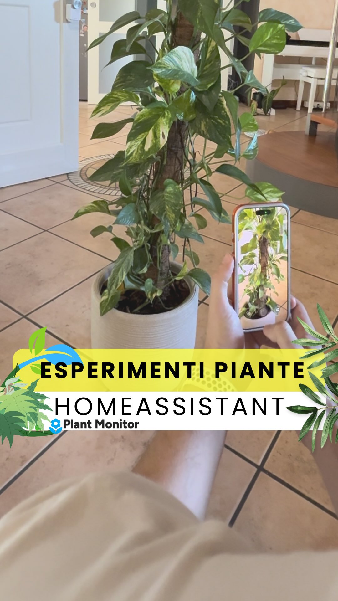 🌱✨ Esperimenti con Home Assistant