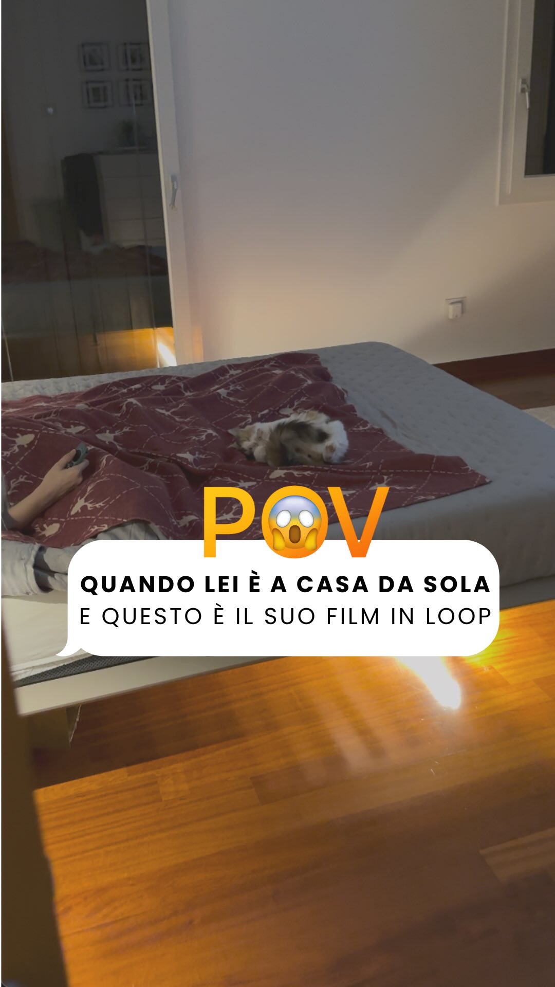 Team fifoni, dove siete? 😂