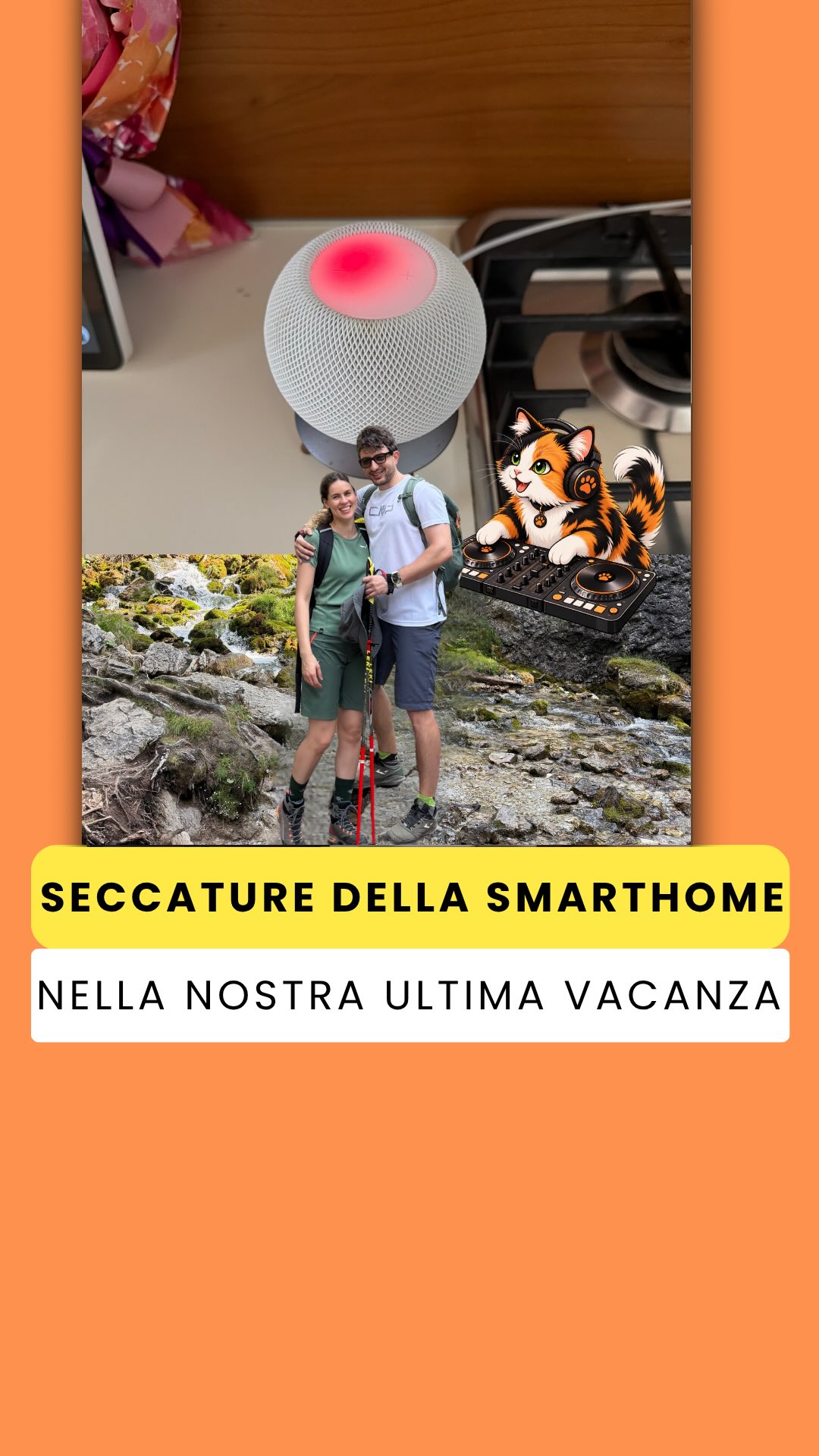 Quando il tuo gatto diventa DJ per una sera perché l’HomePod è impazzito mentre eravamo in vacanza 🎧🐱…